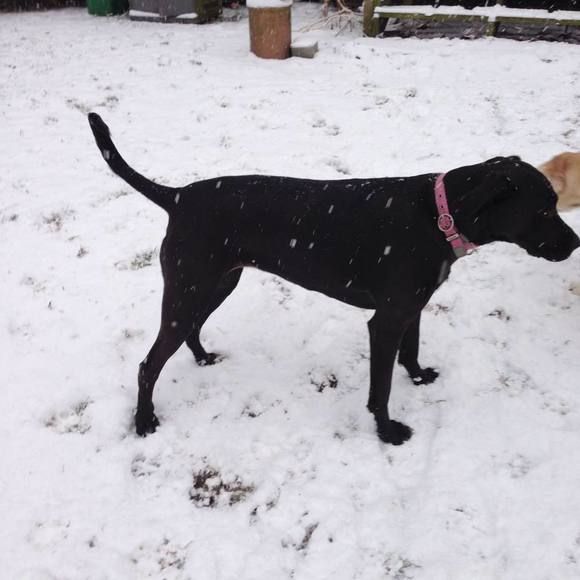 Meet your Posher, Terry - Picture 1 of 1